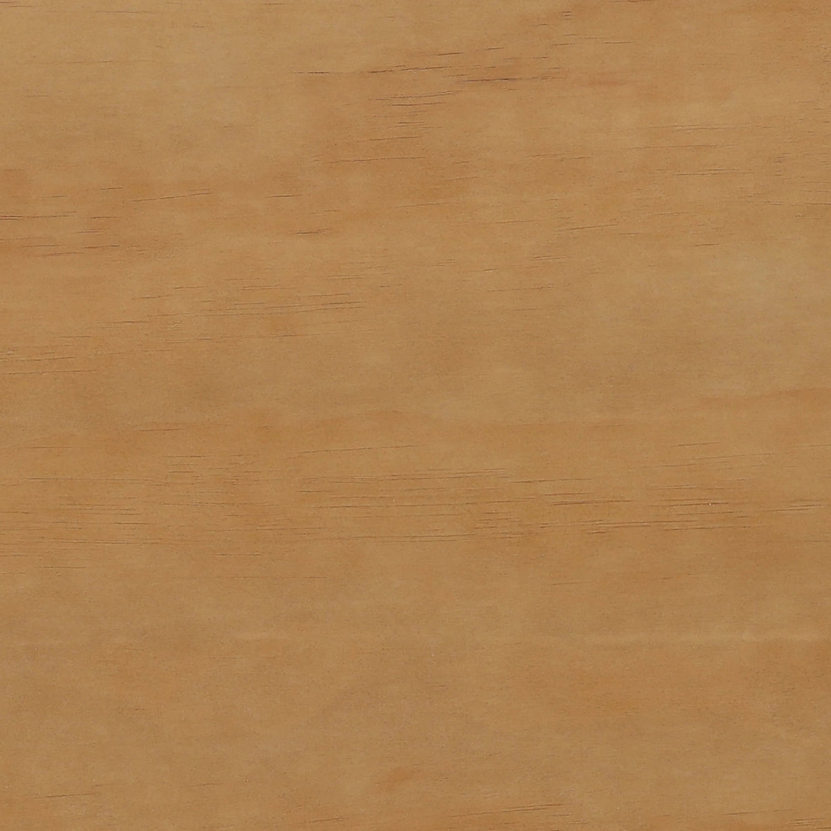 Bois avec Grain Chaleureux et Design Minimaliste pour Salle à Manger