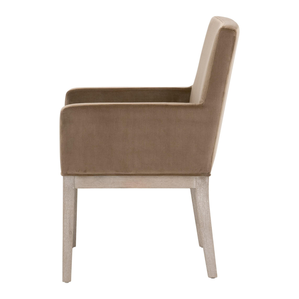 Chaise de salle à manger transitionnelle en velours avec assise en mousse haute densité et base en bois massif pour la salle à manger
