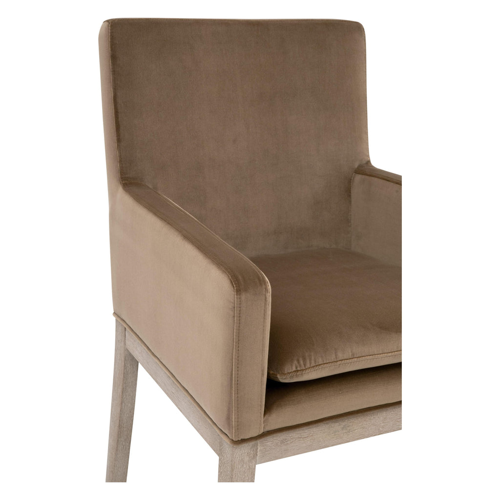 Chaise de salle à manger transitionnelle en velours avec assise en mousse haute densité et base en bois massif pour la salle à manger